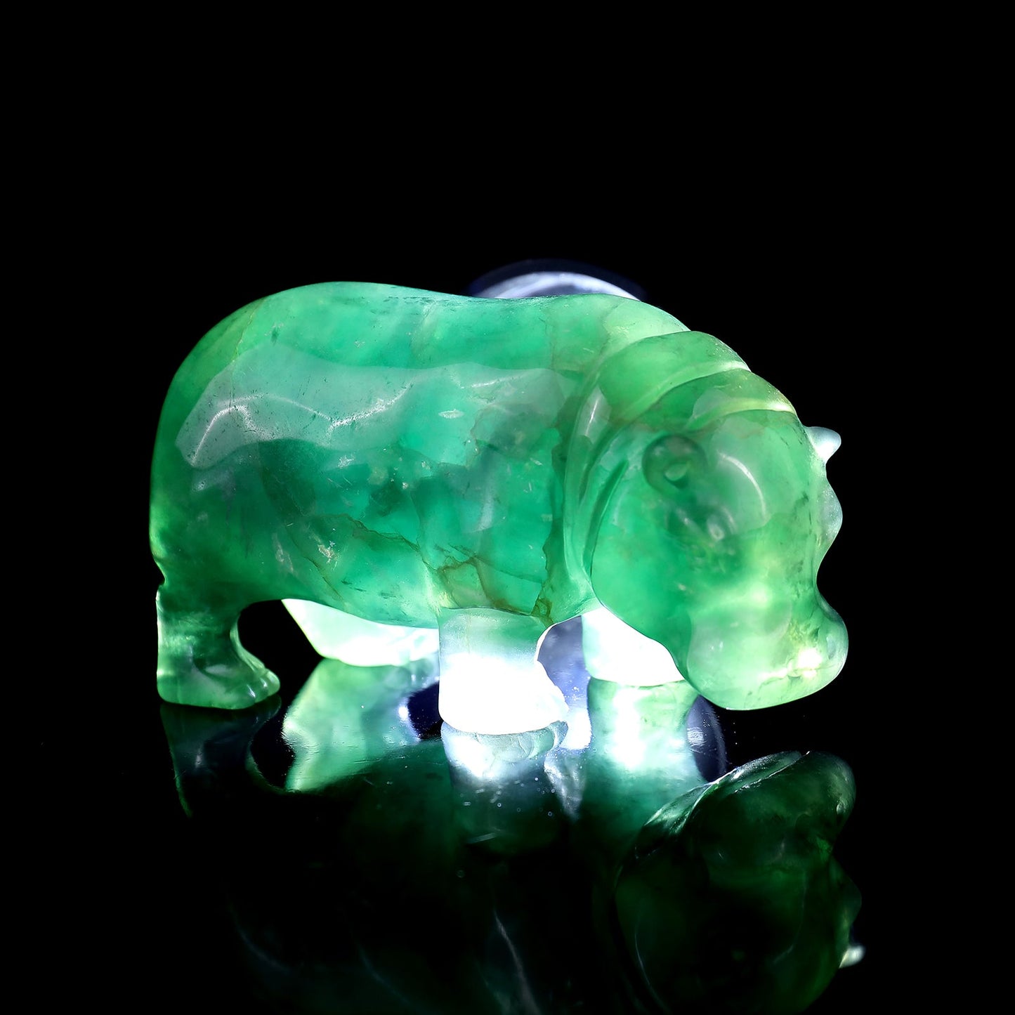 Nicedony 4.1" Fluorite Hand Carved Crystal Hippo Sculpture