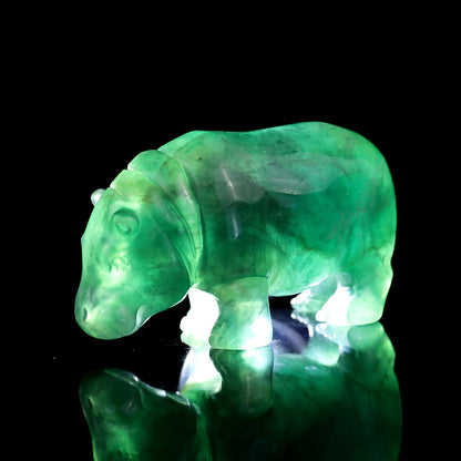Nicedony 4.1" Fluorite Hand Carved Crystal Hippo Sculpture - View 8
