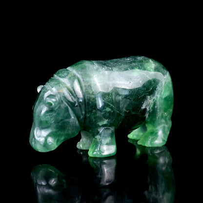 Nicedony 4.1" Fluorite Hand Carved Crystal Hippo Sculpture - View 6