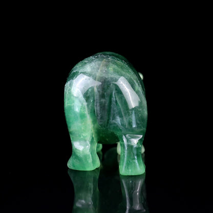 Nicedony 4.1" Fluorite Hand Carved Crystal Hippo Sculpture - View 7