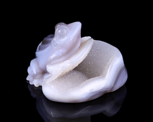 Nicedony 4.1" Geode Agate Hand Carved Crystal Frog Sculpture