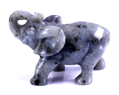 Nicedony 4.1" Labradorite Hand Carved Crystal Elephant Sculpture - View 7