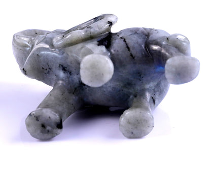 Nicedony 4.1" Labradorite Hand Carved Crystal Elephant Sculpture - View 8