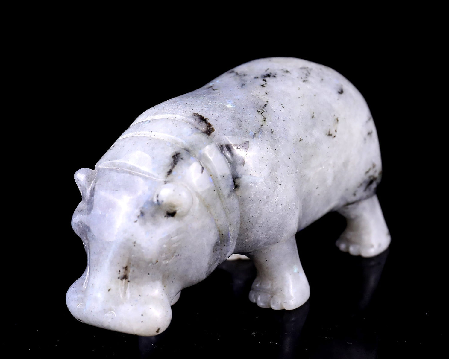 Why We Carve Animals