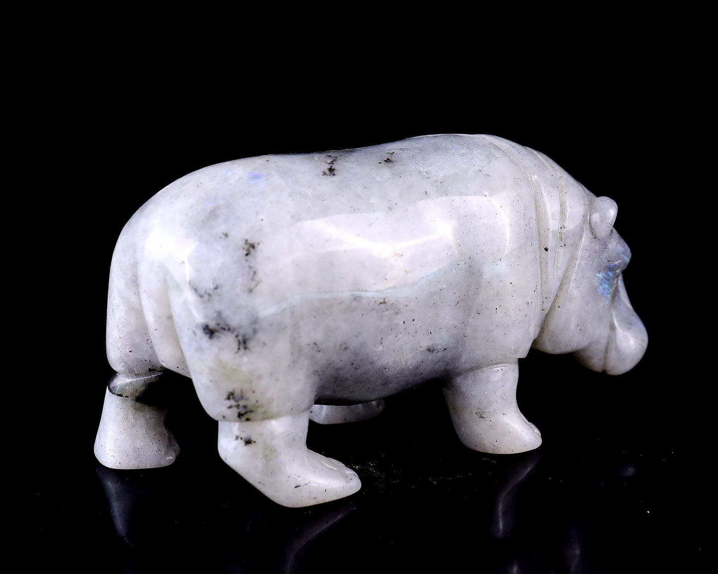 Nicedony 4.1" Labradorite Hand Carved Crystal Hippo Sculpture - View 4