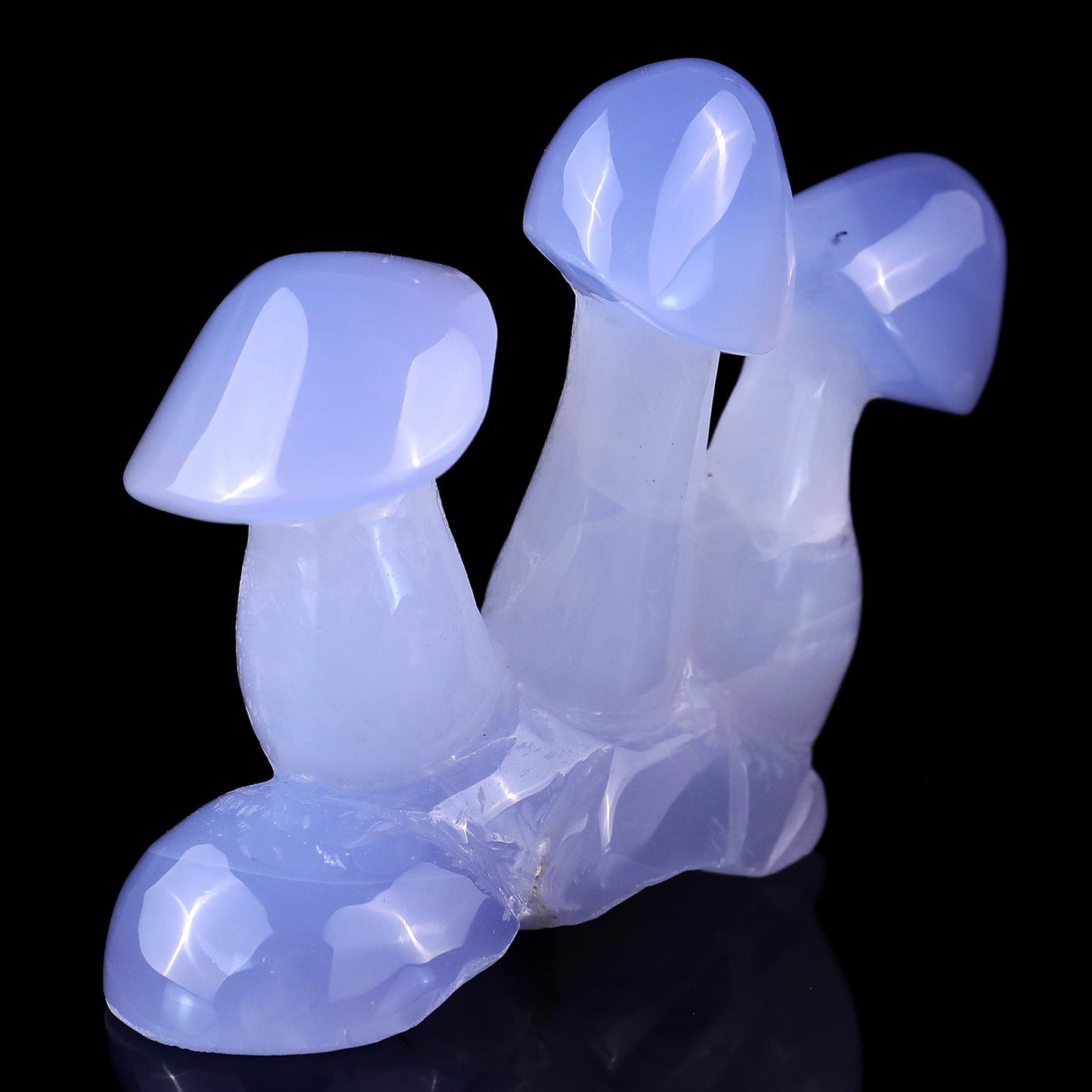 Nicedony 4.2" Blue Chalcedony Hand Carved Crystal Mushrooms Sculpture - View 8