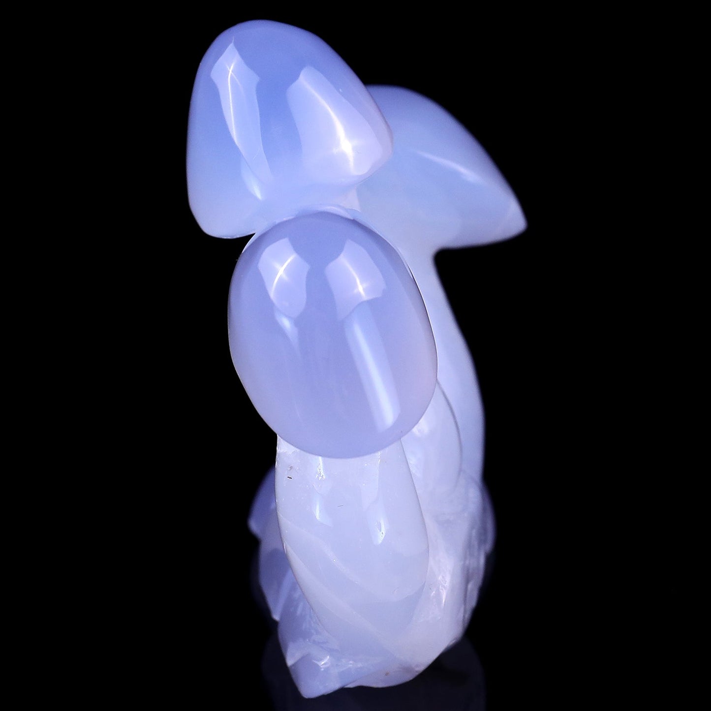 Nicedony 4.2" Blue Chalcedony Hand Carved Crystal Mushrooms Sculpture - View 13