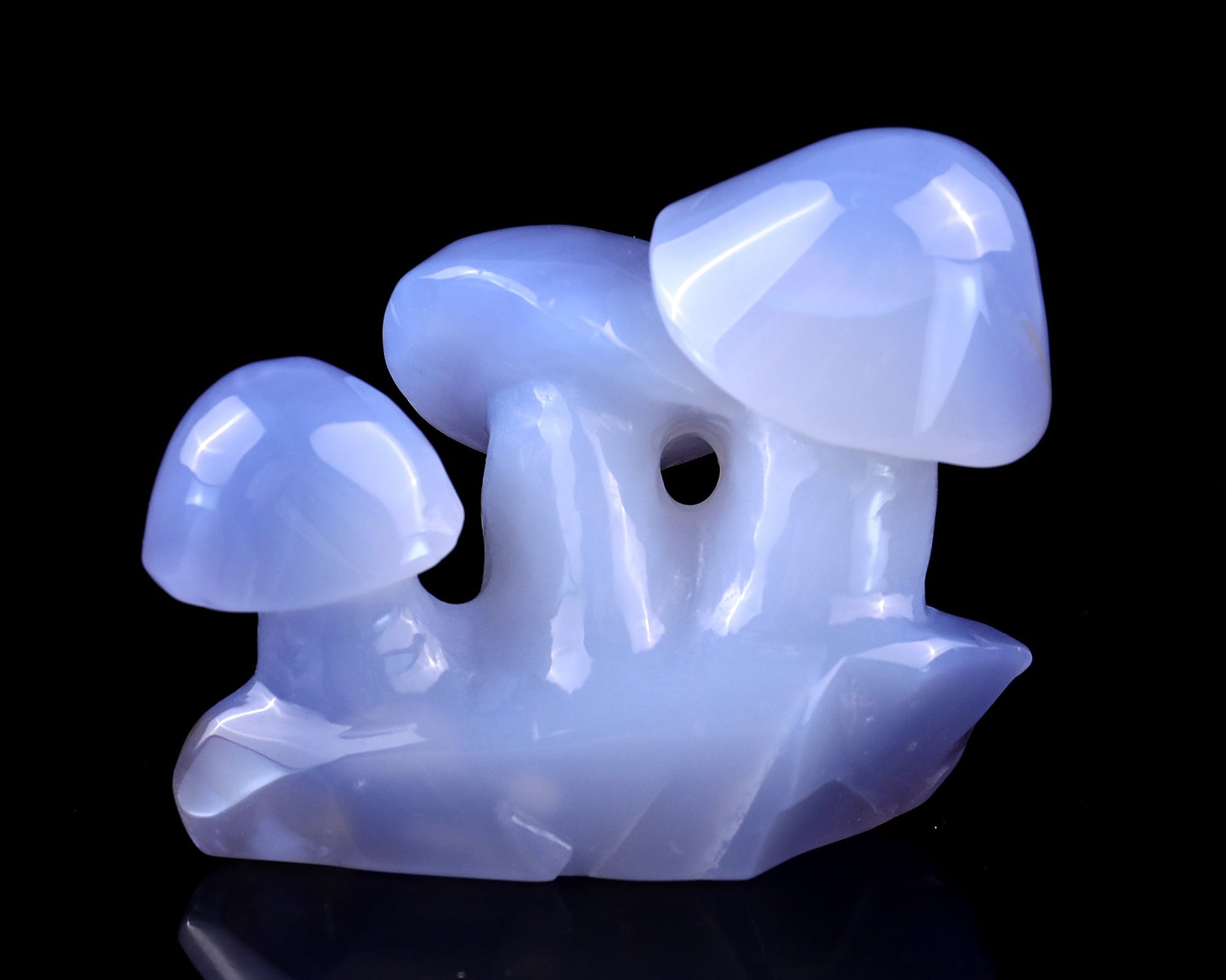 Nicedony 4.2" Blue Chalcedony Hand Carved Crystal Mushrooms Sculpture - #3100039