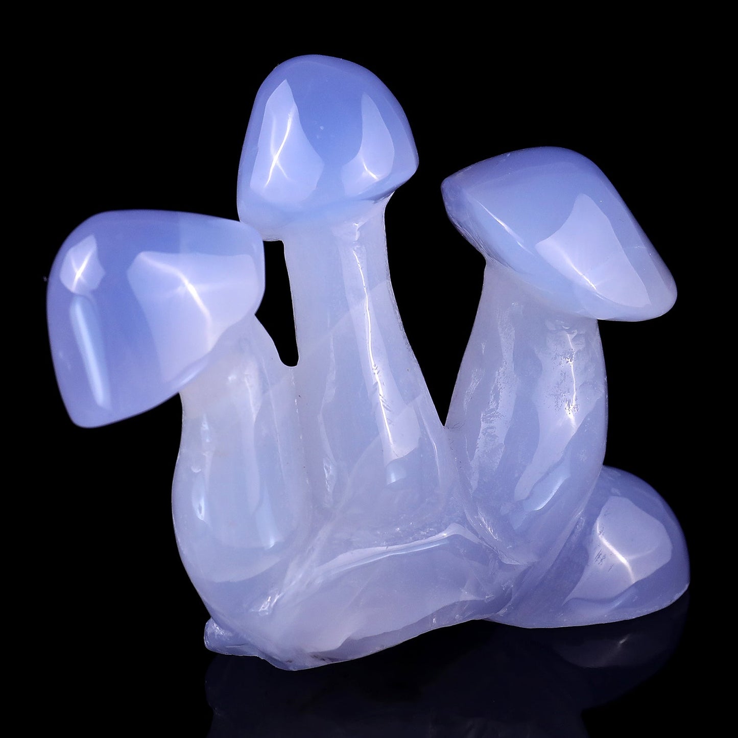 Nicedony 4.2" Blue Chalcedony Hand Carved Crystal Mushrooms Sculpture - View 14