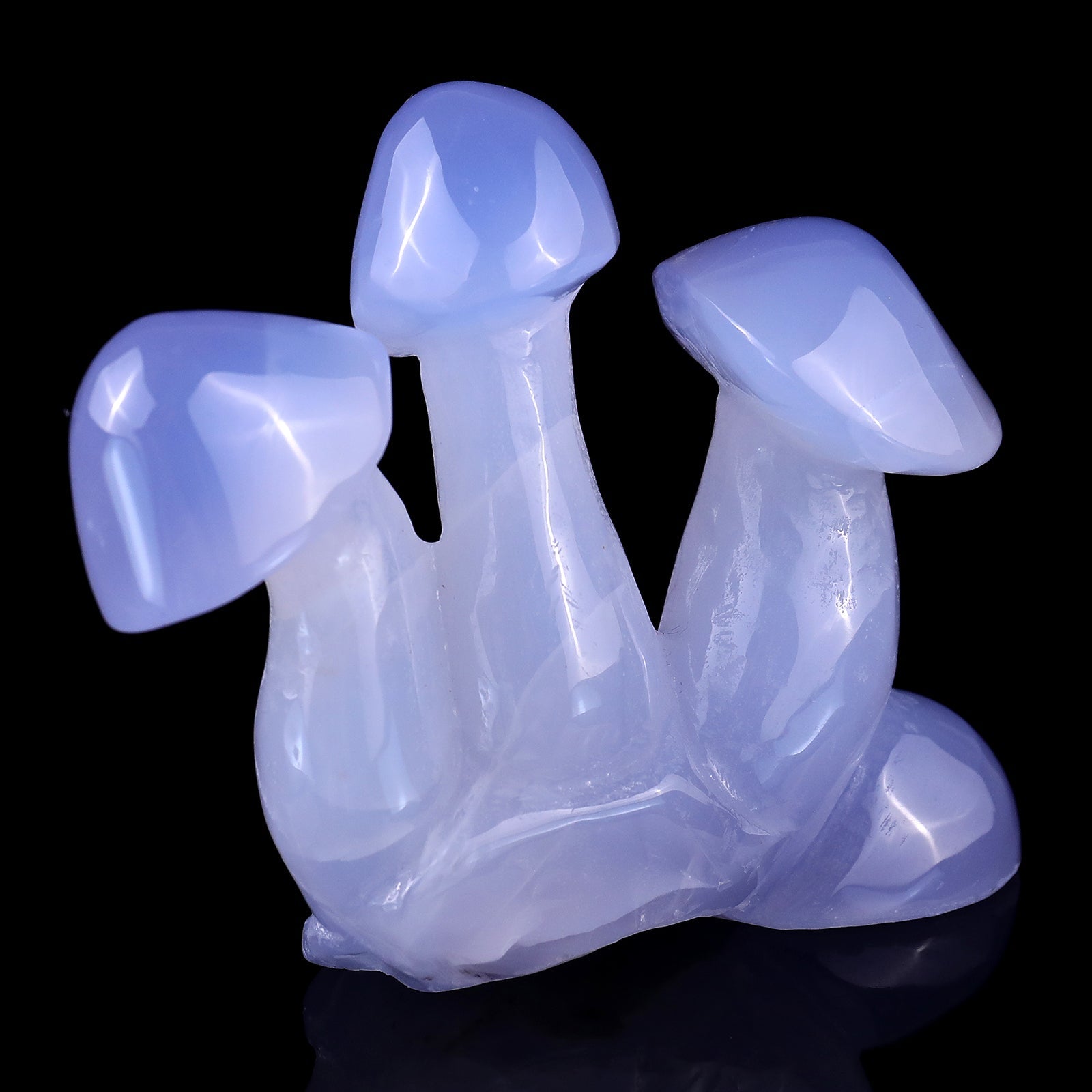 Nicedony 4.2" Blue Chalcedony Hand Carved Crystal Mushrooms Sculpture - View 14