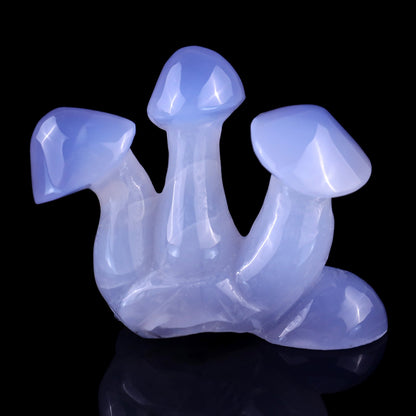 Nicedony 4.2" Blue Chalcedony Hand Carved Crystal Mushrooms Sculpture - View 11