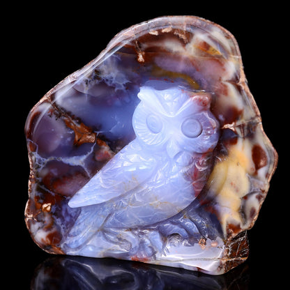 Nicedony 4.2" Blue Chalcedony Hand Carved Crystal Owl Sculpture - View 7