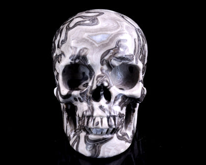 Nicedony 4.3" Black Crazy Lace Agate Hand Carved Realistic Skull - View 2