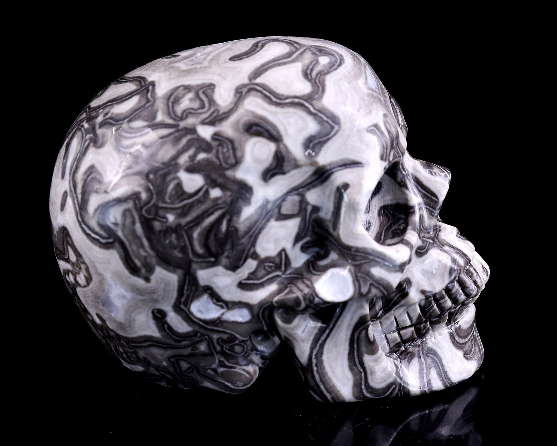 Nicedony 4.3" Black Crazy Lace Agate Hand Carved Realistic Skull - View 3