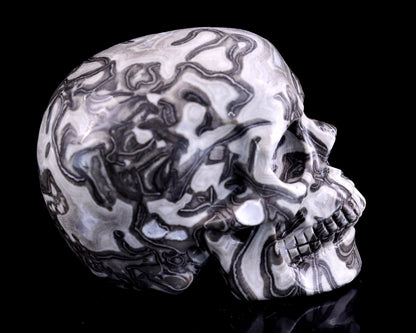 Nicedony 4.3" Black Crazy Lace Agate Hand Carved Realistic Skull - View 3