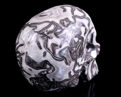 Nicedony 4.3" Black Crazy Lace Agate Hand Carved Realistic Skull - View 4