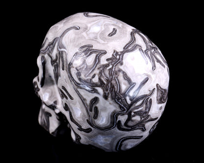 Nicedony 4.3" Black Crazy Lace Agate Hand Carved Realistic Skull - View 6