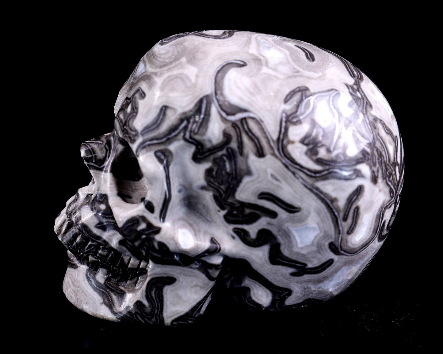 Nicedony 4.3" Black Crazy Lace Agate Hand Carved Realistic Skull - View 7