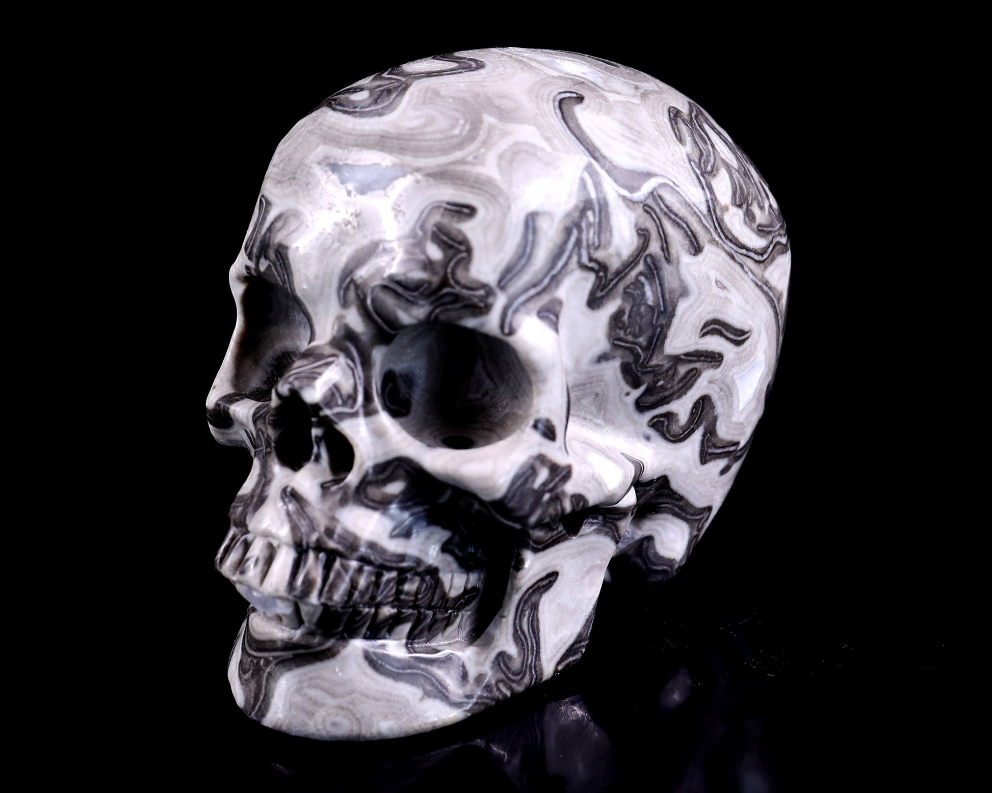 Nicedony 4.3" Black Crazy Lace Agate Hand Carved Realistic Skull - View 9