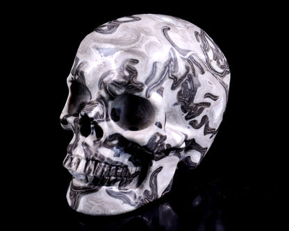 Nicedony 4.3" Black Crazy Lace Agate Hand Carved Realistic Skull - View 9
