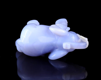 Nicedony 4.3" Blue Chalcedony Hand Carved Crystal Elephant Sculpture - View 9