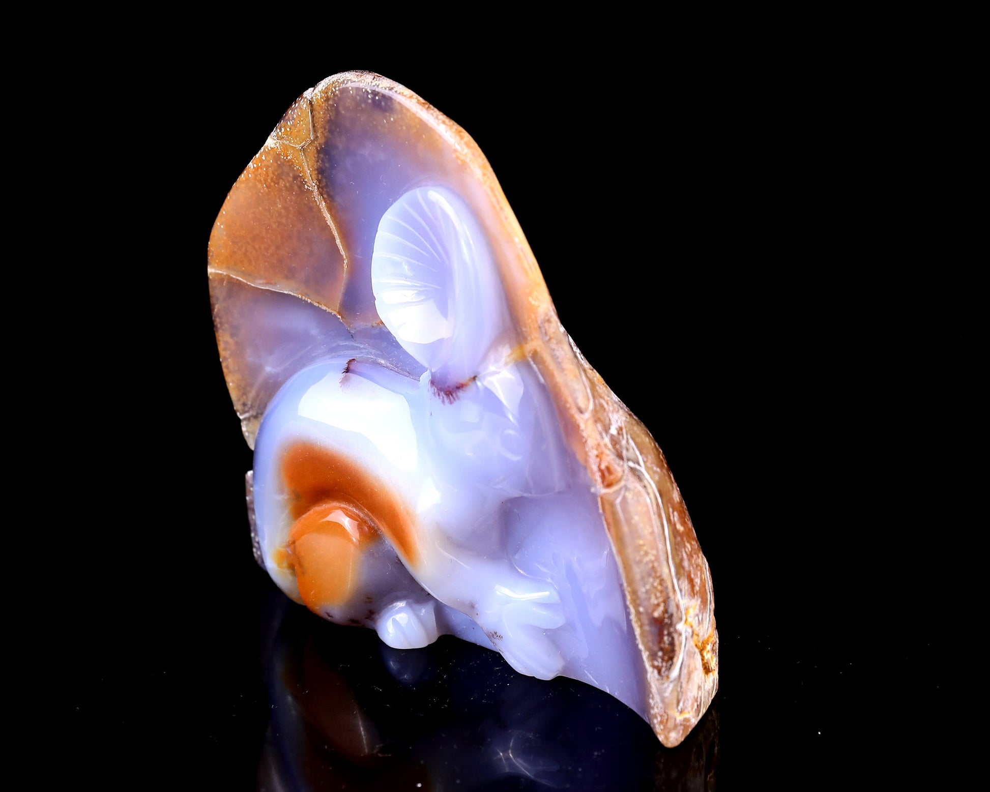 Nicedony 4.3" Blue Chalcedony Hand Carved Crystal Koala Sculpture - View 9