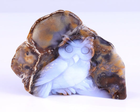 Nicedony 4.3" Blue Chalcedony Hand Carved Crystal Owl Sculpture