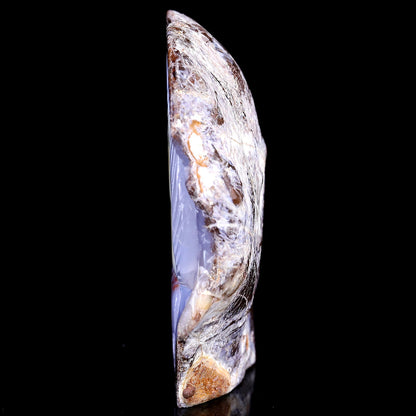 Nicedony 4.3" Blue Chalcedony Hand Carved Crystal Squirrel Sculpture - View 8