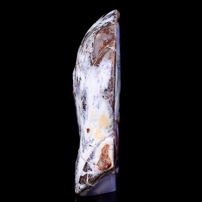 Nicedony 4.3" Blue Chalcedony Hand Carved Crystal Squirrel Sculpture - View 4