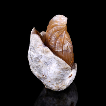 Nicedony 4.3" Chalcedony Hand Carved Crystal Squirrel Sculpture - View 14