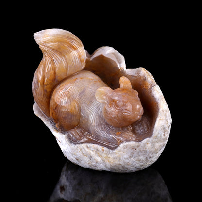 Nicedony 4.3" Chalcedony Hand Carved Crystal Squirrel Sculpture - View 16