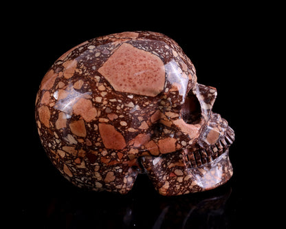 Nicedony 4.3" Coffee Stone Hand Carved Realistic Skull Sculpture - View 3
