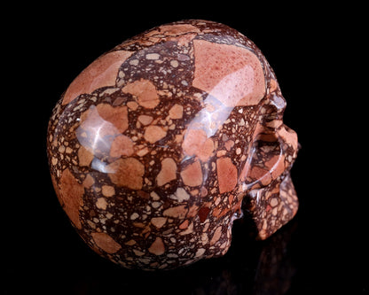 Nicedony 4.3" Coffee Stone Hand Carved Realistic Skull Sculpture - View 4