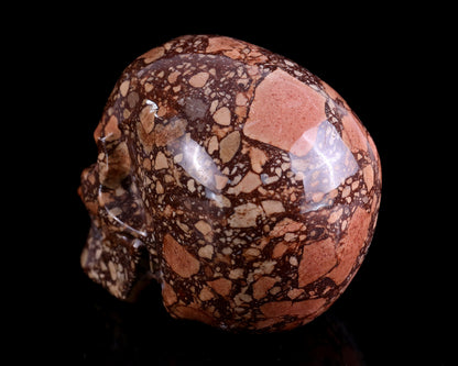 Nicedony 4.3" Coffee Stone Hand Carved Realistic Skull Sculpture - View 6