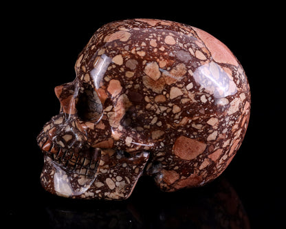 Nicedony 4.3" Coffee Stone Hand Carved Realistic Skull Sculpture - View 7