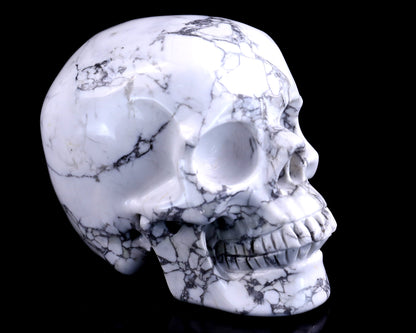 Nicedony 4.3" Howlite Hand Carved Crystal Realistic Skull Sculpture
