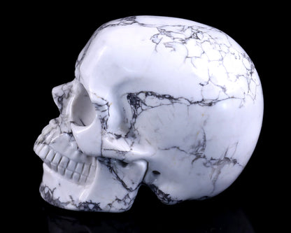 Nicedony 4.3" Howlite Hand Carved Crystal Realistic Skull Sculpture - View 7