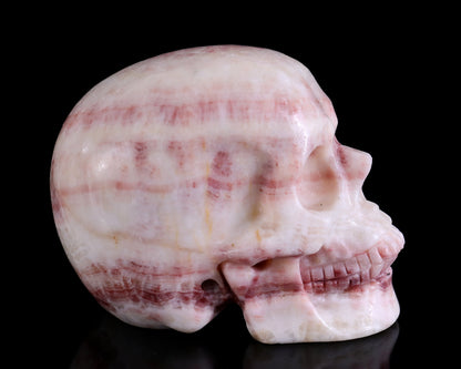 Nicedony 4.3" Red Zebra Agate Hand Carved Realistic Skull Sculpture - View 3