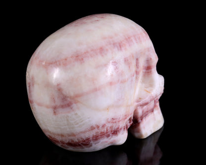Nicedony 4.3" Red Zebra Agate Hand Carved Realistic Skull Sculpture - View 4
