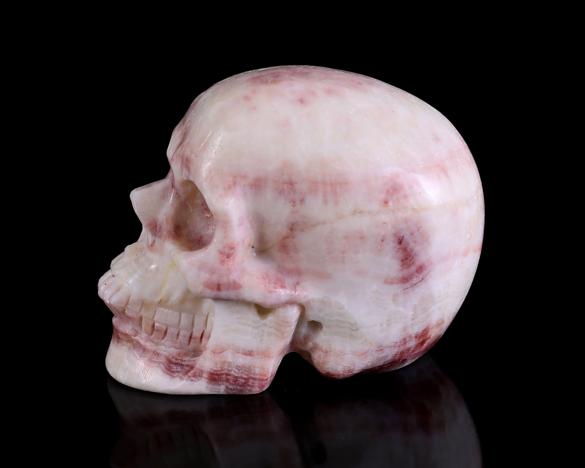 Nicedony 4.3" Red Zebra Agate Hand Carved Realistic Skull Sculpture - View 7