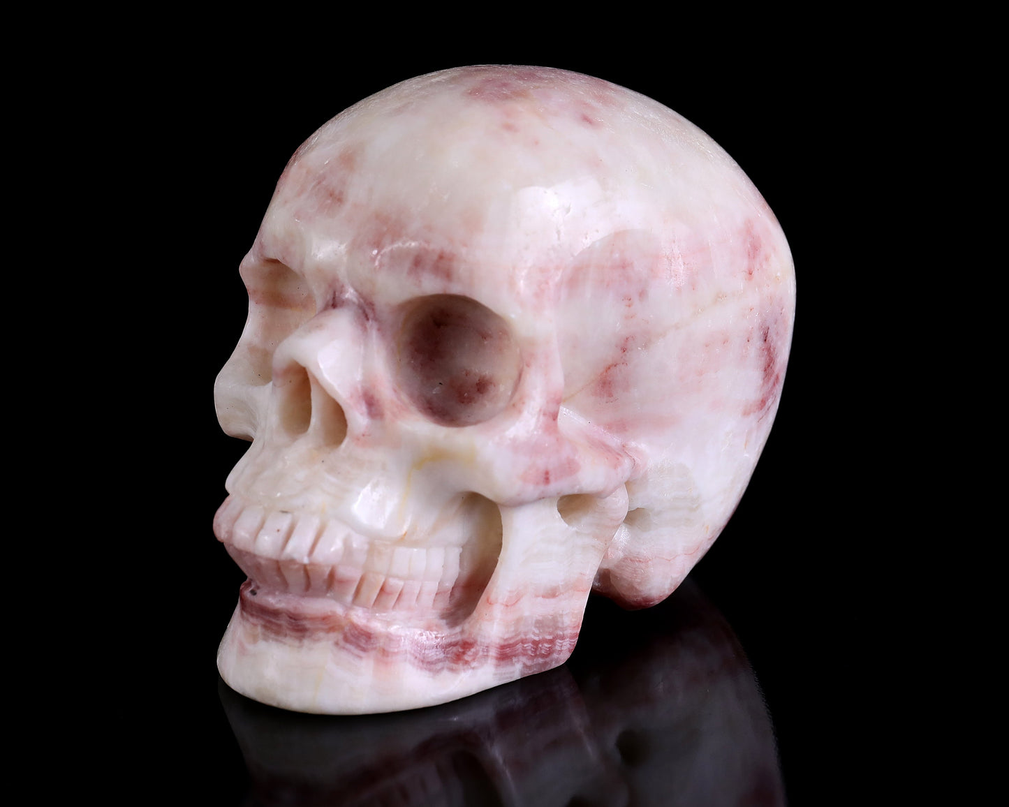 Nicedony 4.3" Red Zebra Agate Hand Carved Realistic Skull Sculpture - View 9