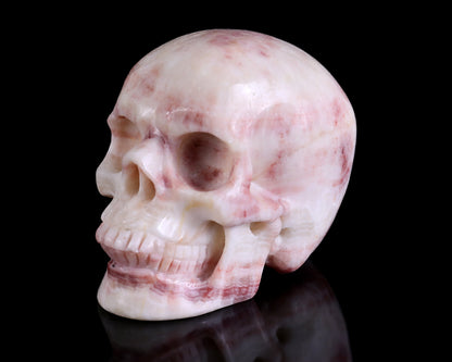 Nicedony 4.3" Red Zebra Agate Hand Carved Realistic Skull Sculpture - View 9