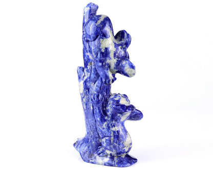 Nicedony 4.3" Sodalite Hand Carved Crystal Koalas Sculpture - View 5