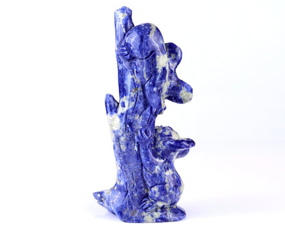 Nicedony 4.3" Sodalite Hand Carved Crystal Koalas Sculpture - View 4