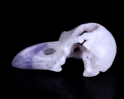 Nicedony 4.3" White Geode Agate Hand Carved Crystal Raven Skull Sculpture - View 4