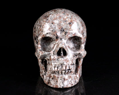Nicedony 4.3" Yooperlite Hand Carved Realistic Skull Sculpture - View 2