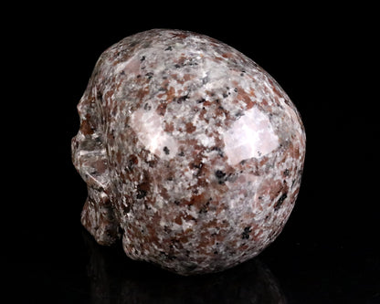 Nicedony 4.3" Yooperlite Hand Carved Realistic Skull Sculpture - View 6