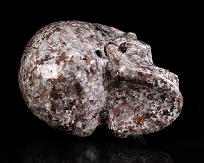 Nicedony 4.3" Yooperlite Hand Carved Realistic Skull Sculpture - View 8