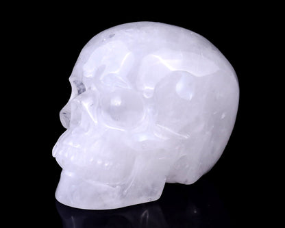 Nicedony 4.4" Angolan Quartz Hand Carved Realistic Skull Sculpture - View 7