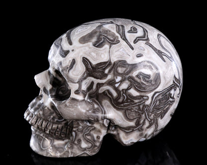 Nicedony 4.4" Black Crazy Agate Hand Carved Crystal Skull Sculpture